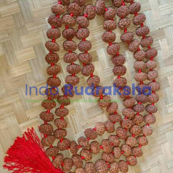 Mukhi 10 Mala