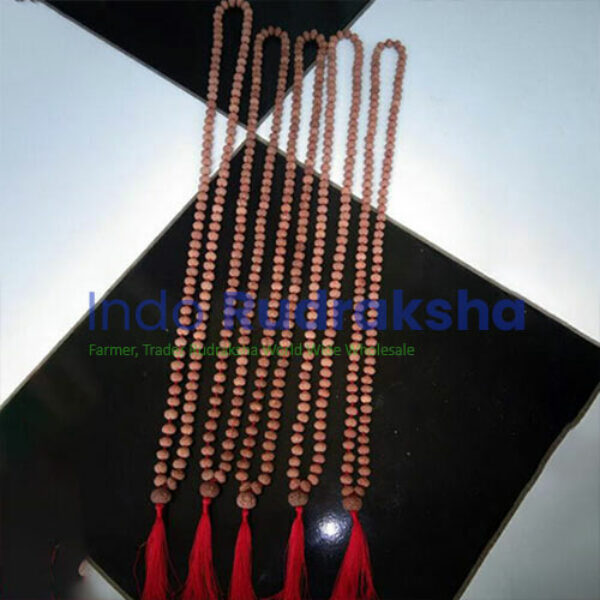 Mukhi 09 Mala