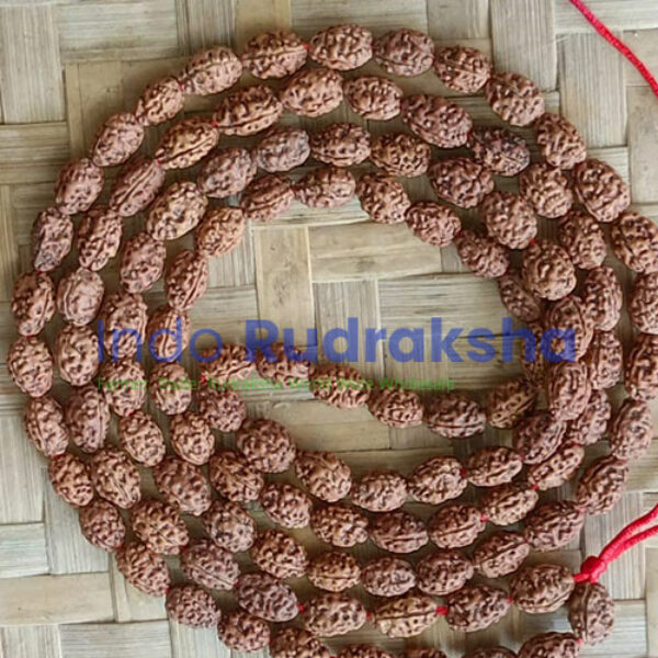 Mukhi 03 Mala