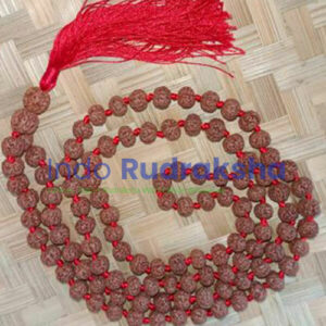 Mukhi 06 Mala