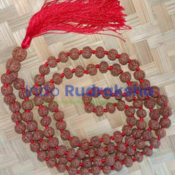 Mukhi 06 Mala
