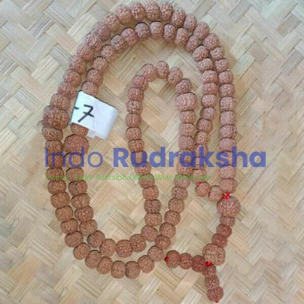 Mukhi 07 Mala