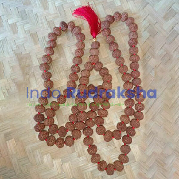 Mukhi 08 Mala