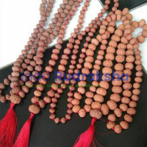 Mukhi 11 Mala