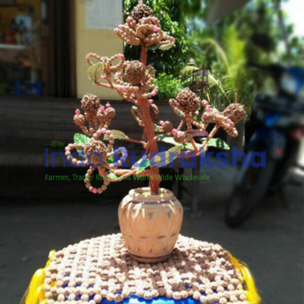 Bunga Rudraksha