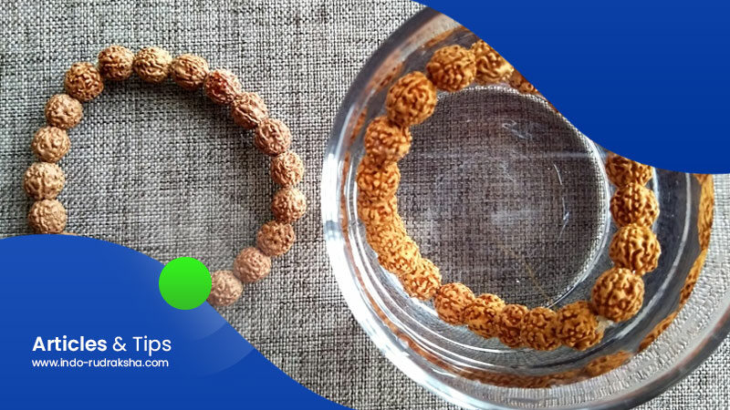 Cara-Membedakan-Rudraksha-Asli-dan-Palsu