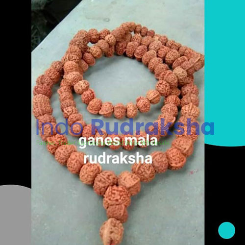 gANES-MLA-2