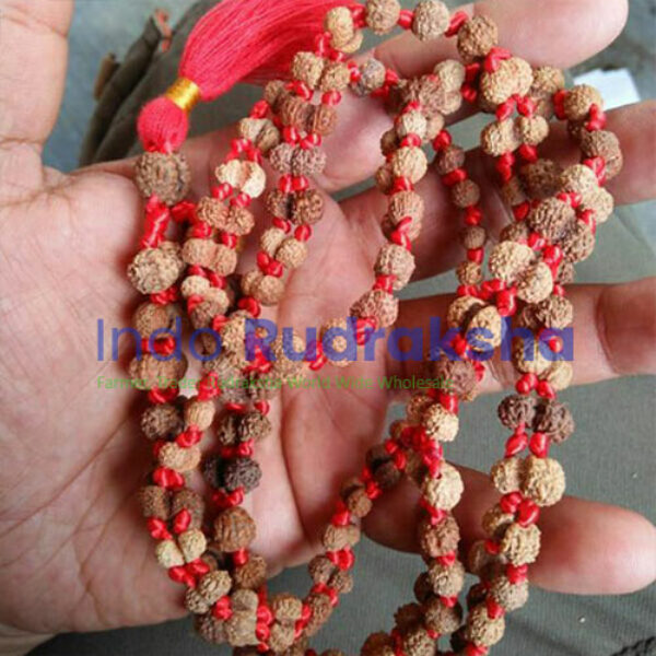 Mala Gaurhy Shangkar