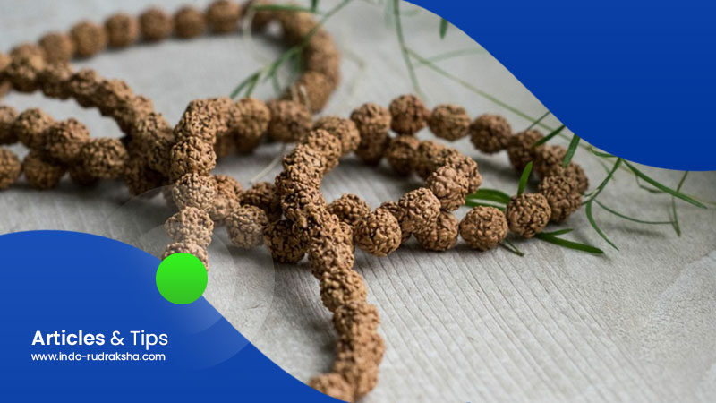 Indonesian-Rudraksha-Farmers
