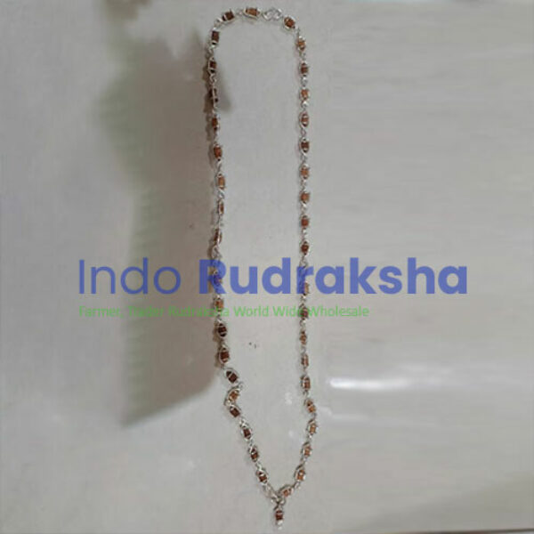 Kalung 1 Mukhi Silver Caping
