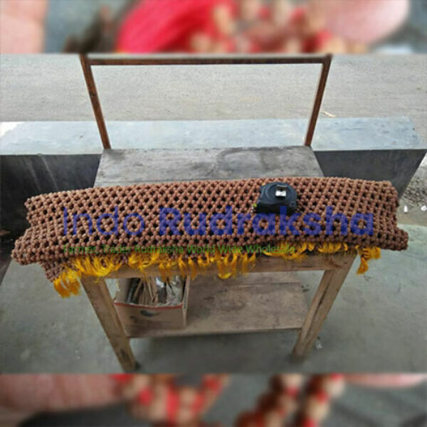 Matras Rudraksha