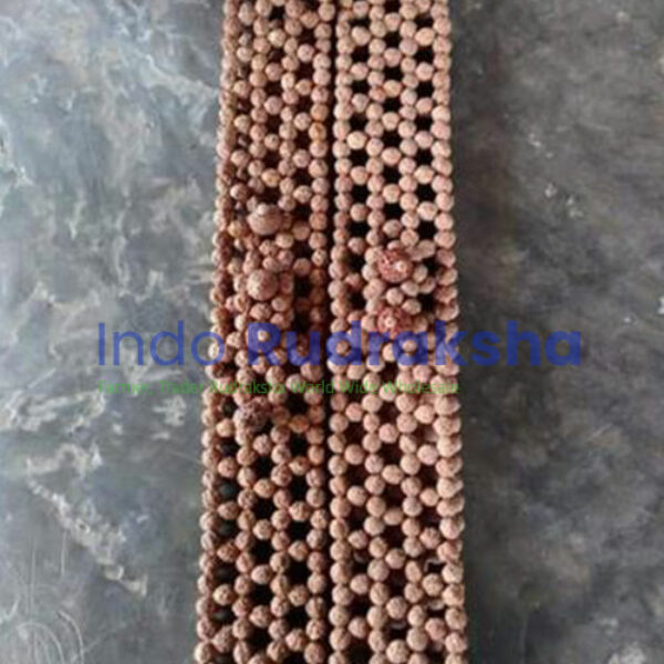 Sabuk Rudraksha