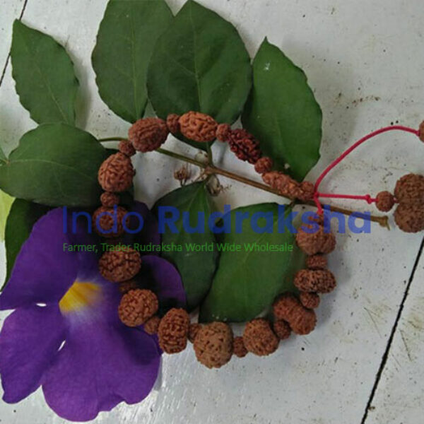 Sidhabracelet